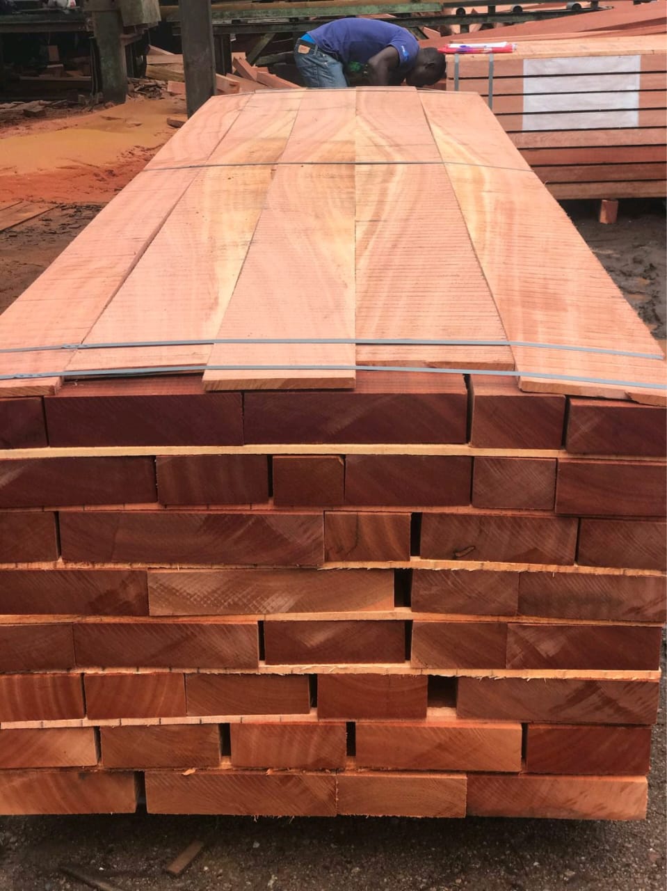 Sapele Wood - Image 2