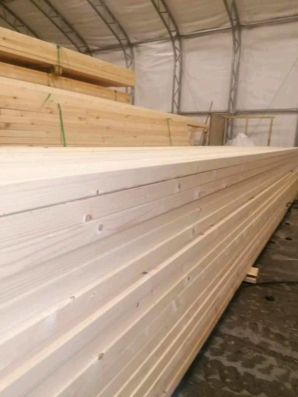 Pine Wood - Image 6