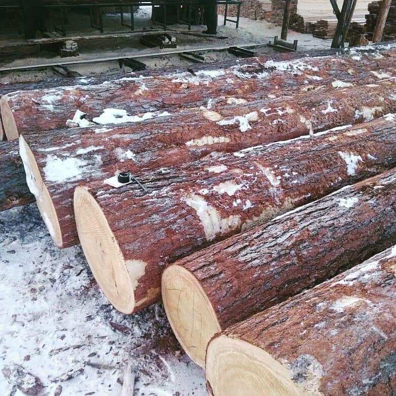 Pine Wood - Image 4